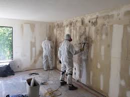 Best Mold Removal for HVAC Installations  in North Conway, NH